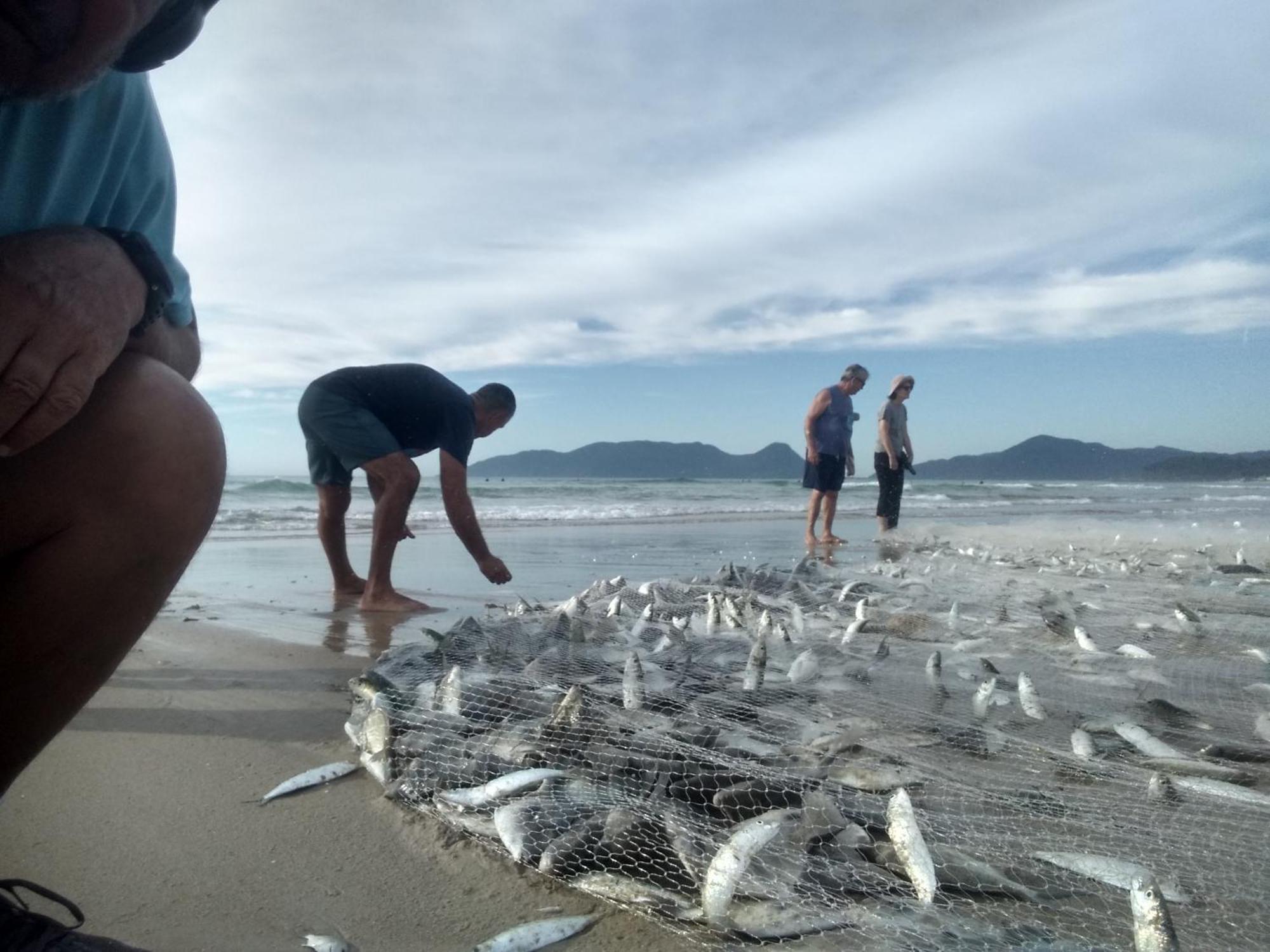 Charmoso E Moderno No Paraiso E Proximo Ao Aeroporto Florianópolis Dış mekan fotoğraf